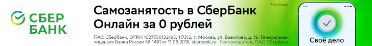 sber_se_728x900